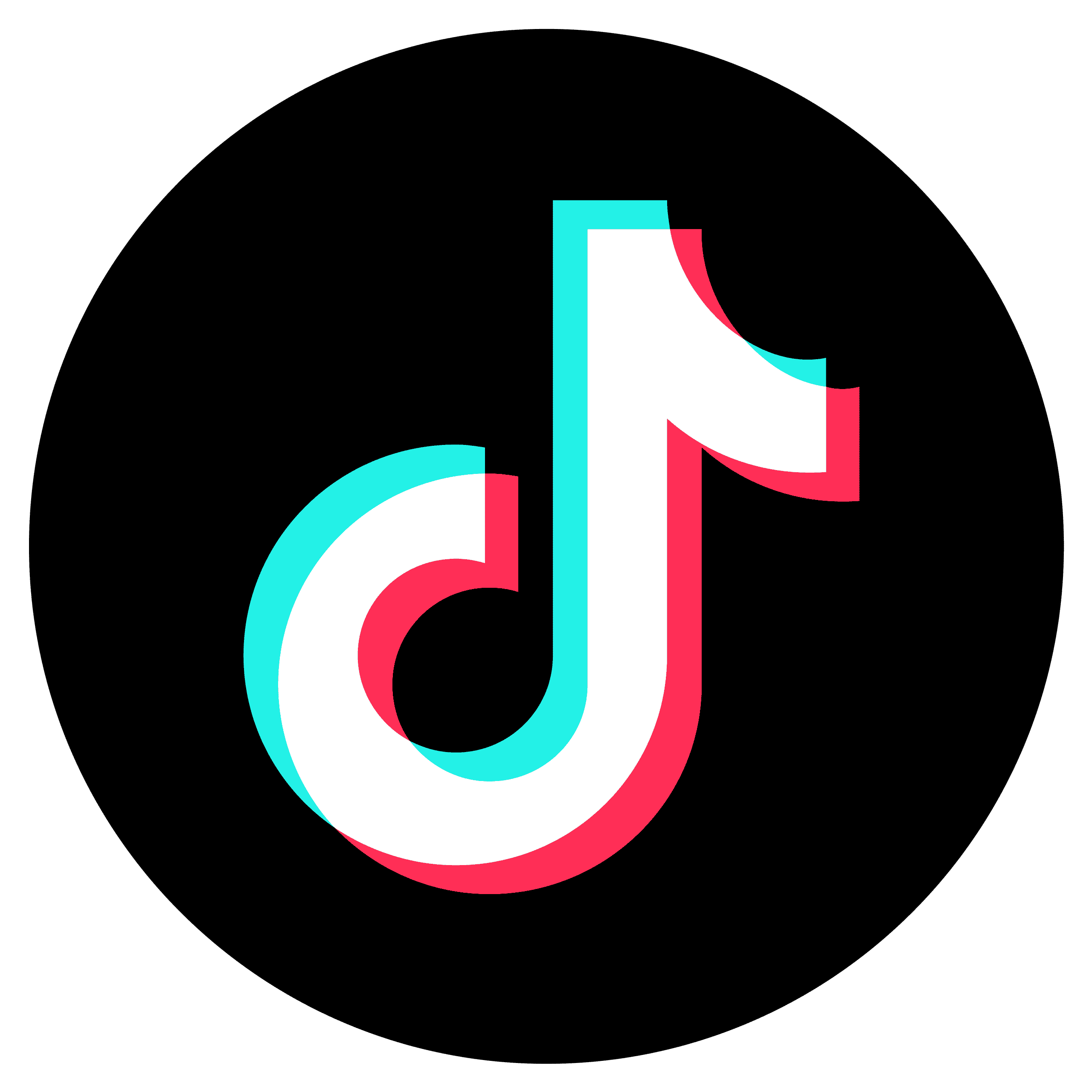 TikTok icon linking to MindBodySignal daily ritual videos
